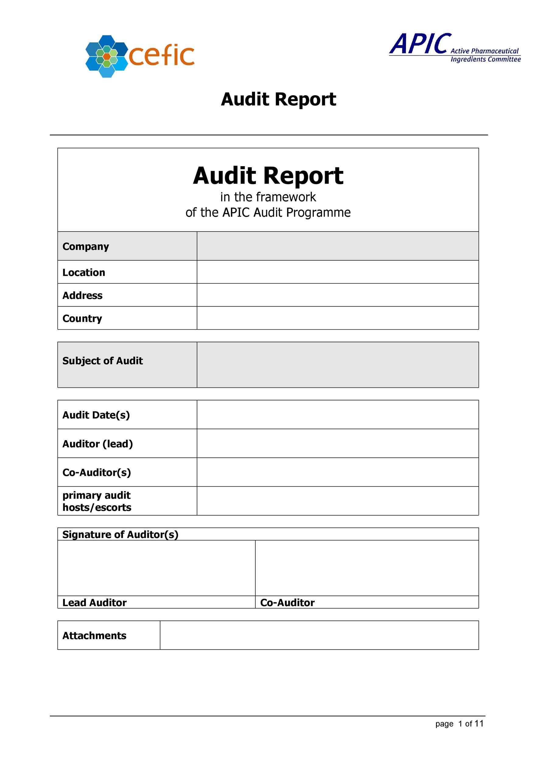 audit report mail format
