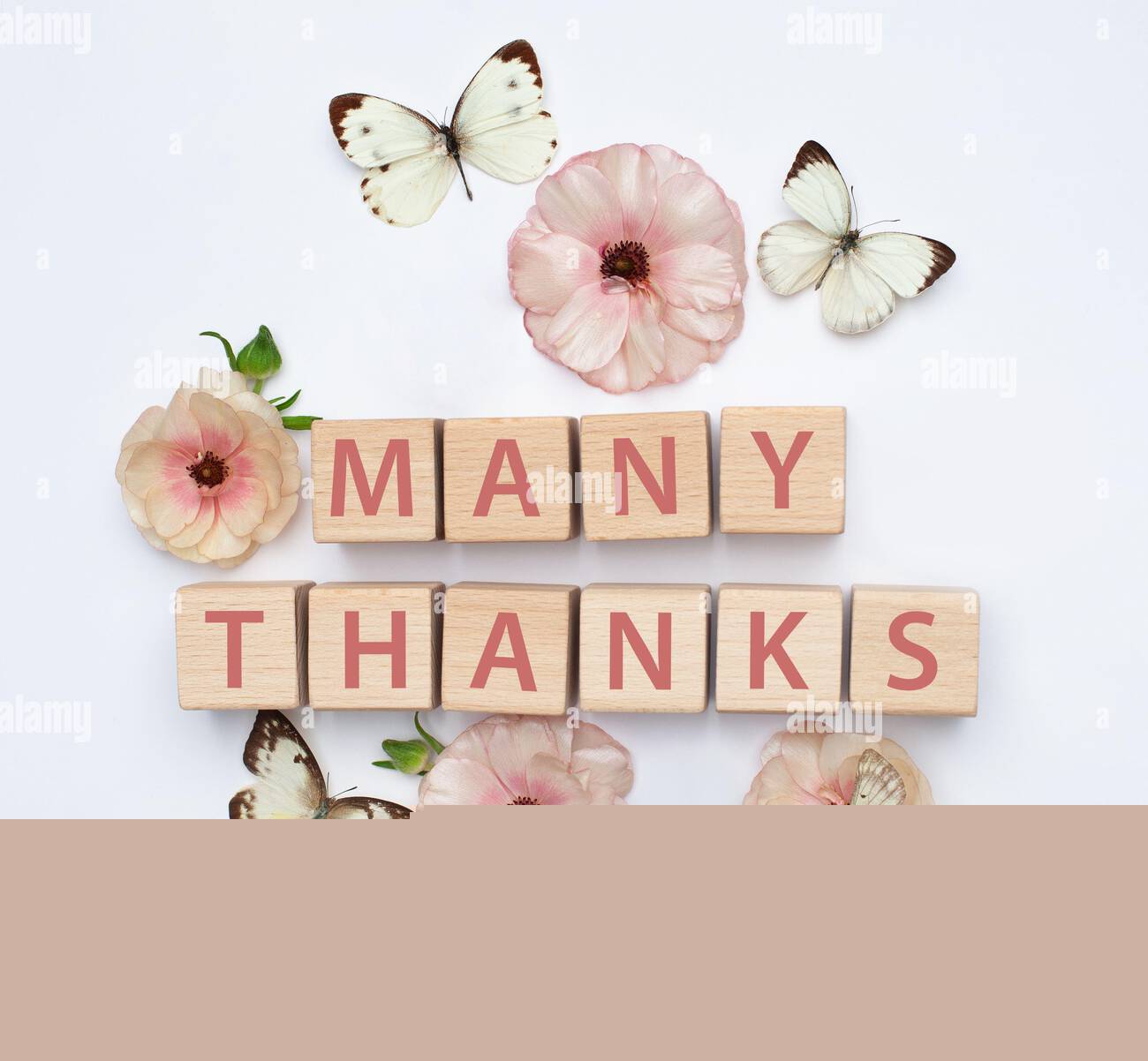 duly received with many thanks